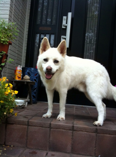 doni111.jpg